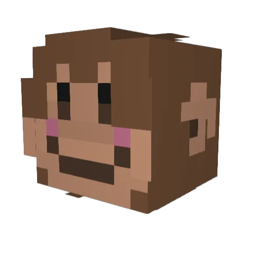 NAZOOKALEBAZOOKA Minecraft avatar head, 3D render