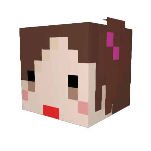 NA_ROCK Minecraft avatar head, 3D render