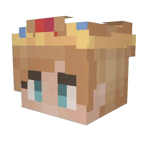 NA_sodium_ Minecraft avatar head, 3D render