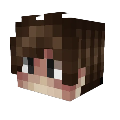 NAchatty Minecraft avatar head, 3D render
