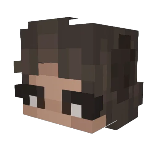 NAknows85 Minecraft avatar head, 3D render