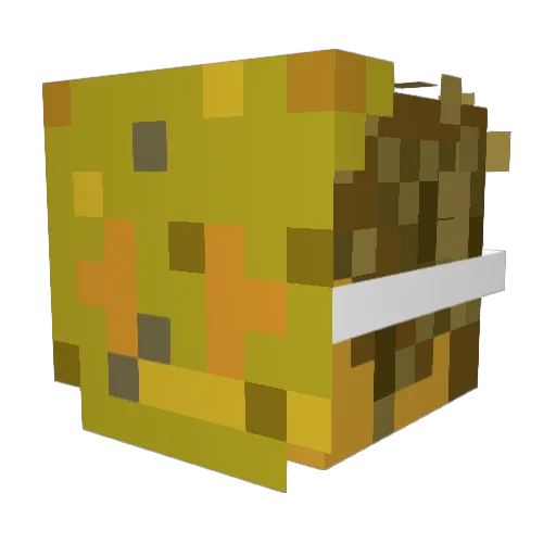 NAlien66 Minecraft avatar head, 3D render