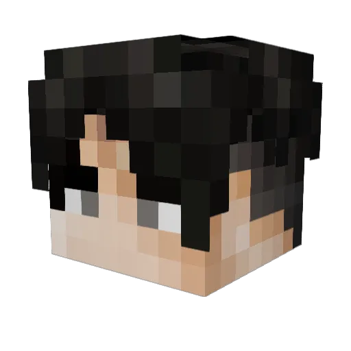 NAsus61 Minecraft avatar head, 3D render