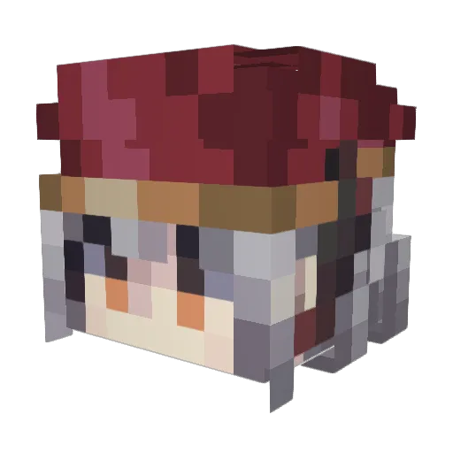 NAwastaken Minecraft avatar head, 3D render