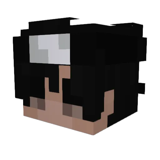 NBGNomad Minecraft avatar head, 3D render