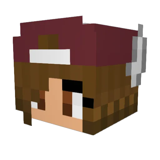 NBKpro1 Minecraft avatar head, 3D render