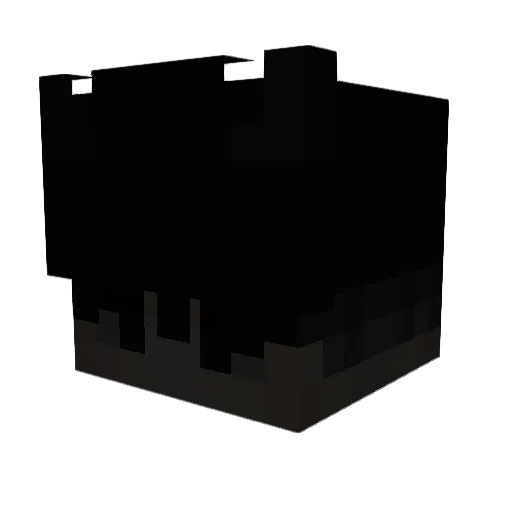 NBL_Shadow Minecraft avatar head, 3D render