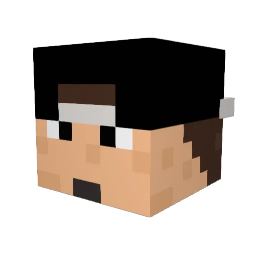 NBSTYLE Minecraft avatar head, 3D render