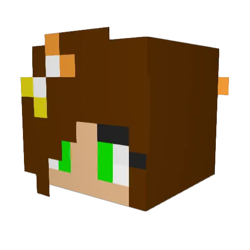 NBrei Minecraft avatar head, 3D render