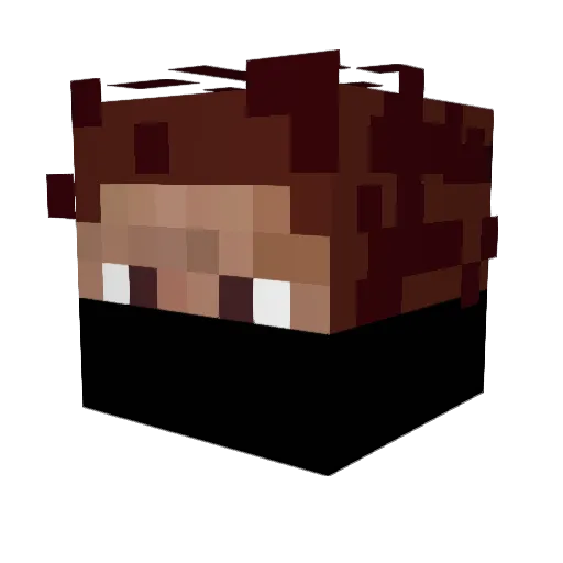 NCC_1744 Minecraft avatar head, 3D render
