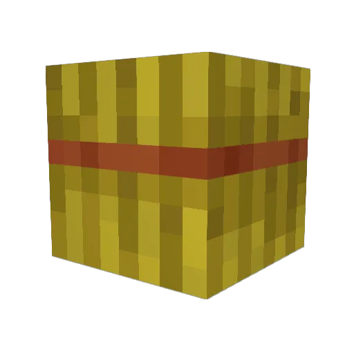 NCN_nicename Minecraft avatar head, 3D render