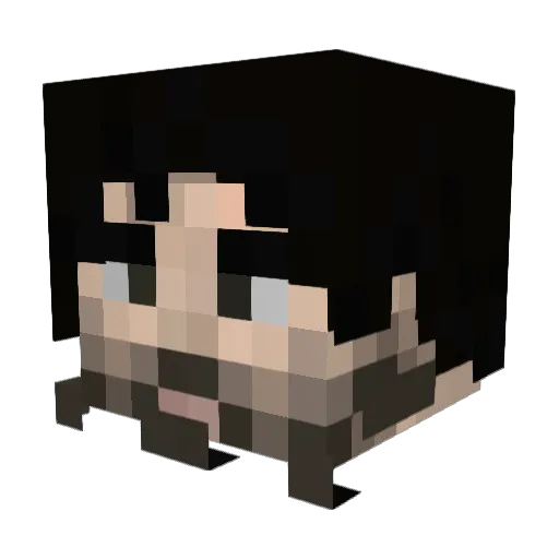 NCPJig Minecraft avatar head, 3D render