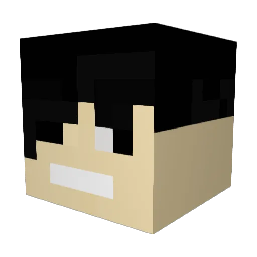 NCQ Minecraft avatar head, 3D render
