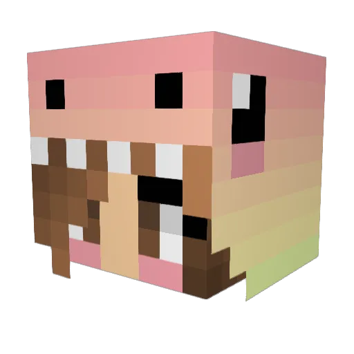 NCScheer2023 Minecraft avatar head, 3D render