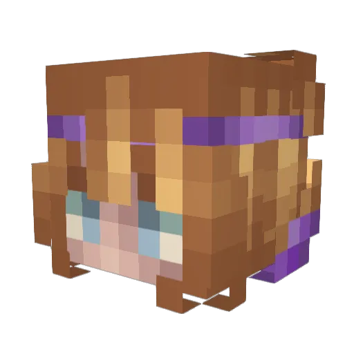 NCStylezX Minecraft avatar head, 3D render