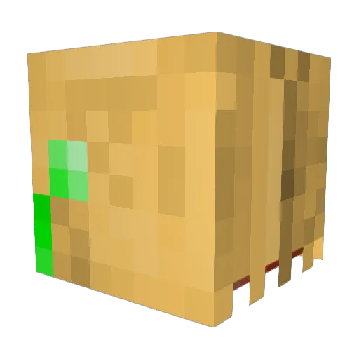 NCorovaneer Minecraft avatar head, 3D render
