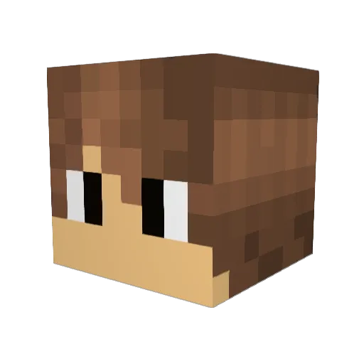 NDG_McB Minecraft avatar head, 3D render