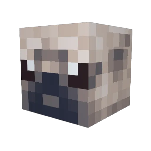 NDS05 Minecraft avatar head, 3D render
