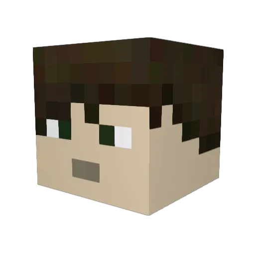 ND_2002 Minecraft avatar head, 3D render