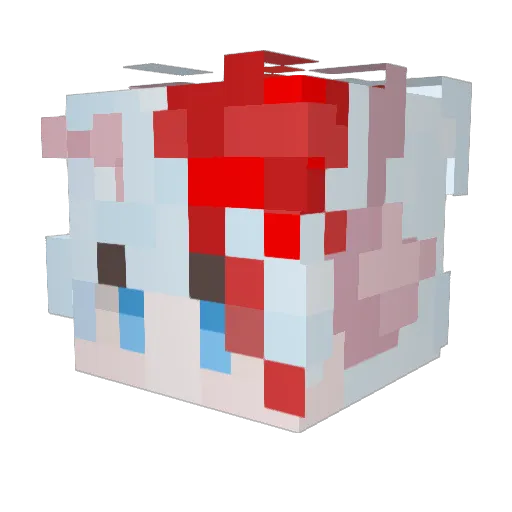 NDarkMC_124 Minecraft avatar head, 3D render