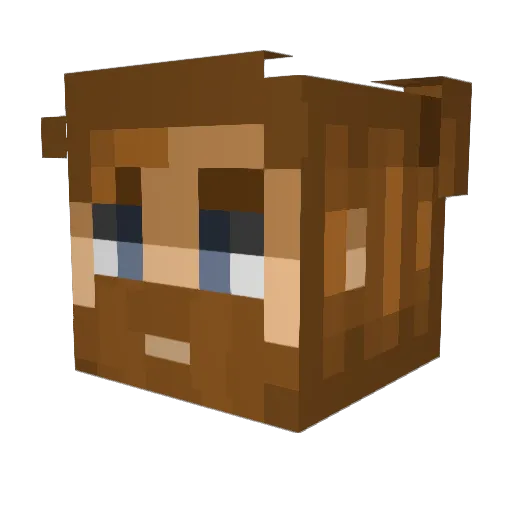 NDawsomeDude Minecraft avatar head, 3D render