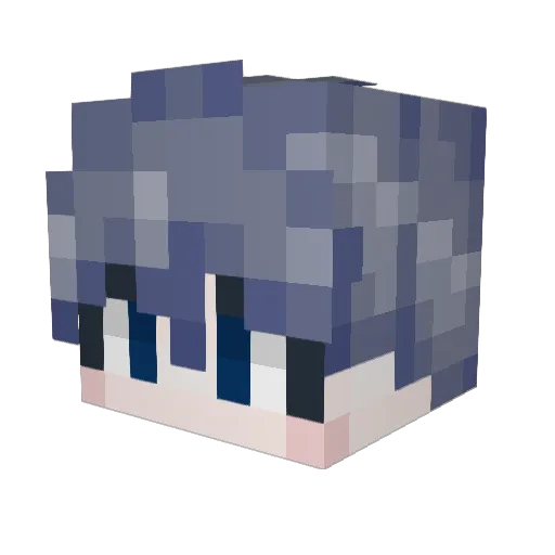 NDolPhin1 Minecraft avatar head, 3D render