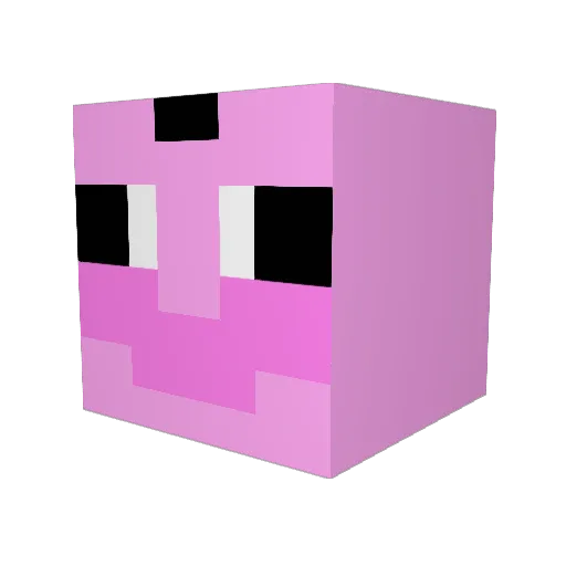 NDxSnow1 Minecraft avatar head, 3D render