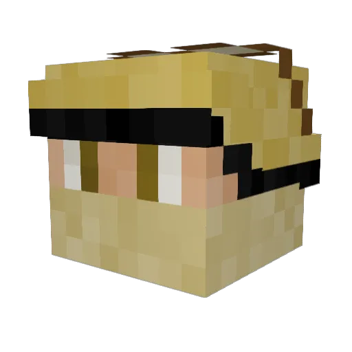 NE555p Minecraft avatar head, 3D render