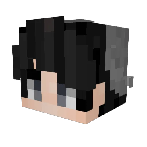 NECROS49 Minecraft avatar head, 3D render