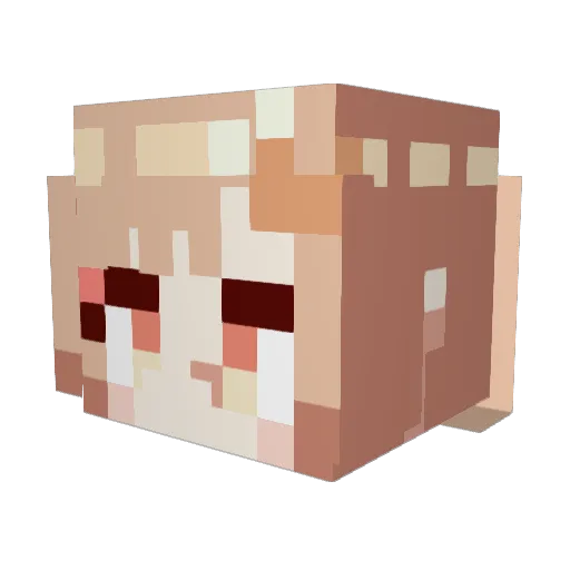 NED_Club Minecraft avatar head, 3D render