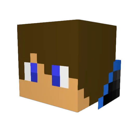 NEE1215 Minecraft avatar head, 3D render
