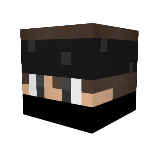 NEEL0 Minecraft avatar head, 3D render