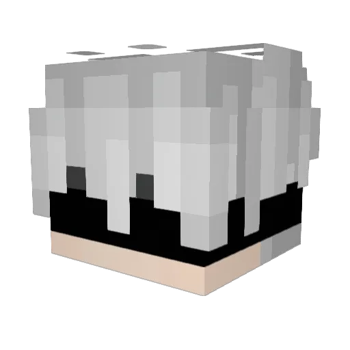 NEELFLAMEYT Minecraft avatar head, 3D render