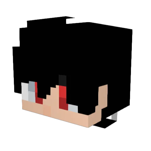 NENELZINHO2012 Minecraft avatar head, 3D render