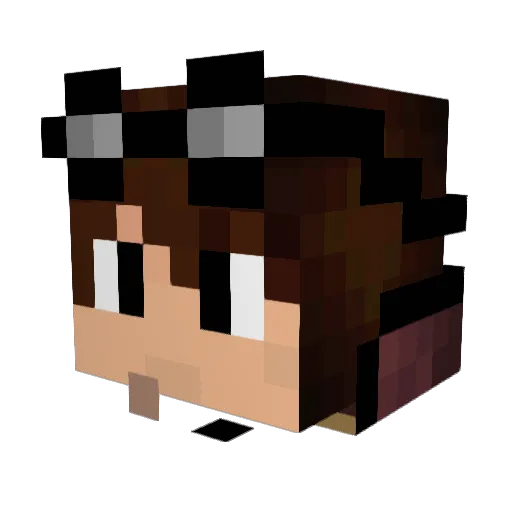 NEO_NyanCat Minecraft avatar head, 3D render