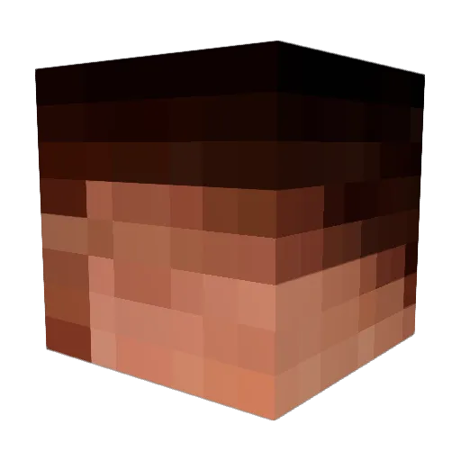 NEO_Todd_Howard Minecraft avatar head, 3D render
