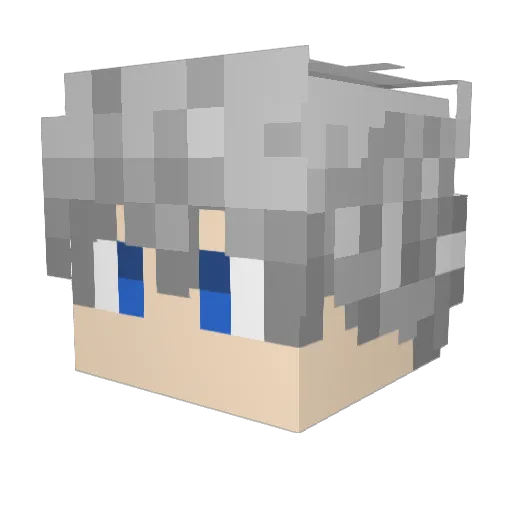 NEO___________ Minecraft avatar head, 3D render