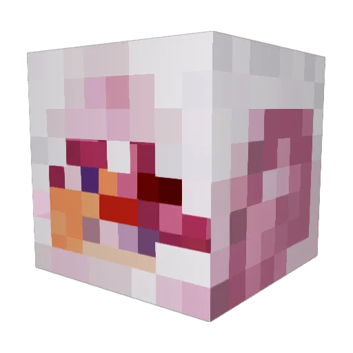 NEOblitz86 Minecraft avatar head, 3D render