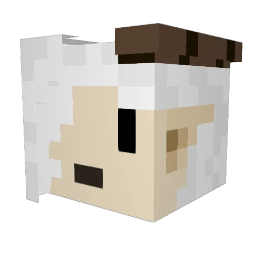 NEROZIi Minecraft avatar head, 3D render