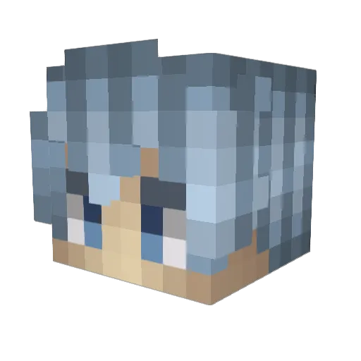 NES_Quicks Minecraft avatar head, 3D render