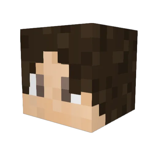 NETA13B Minecraft avatar head, 3D render