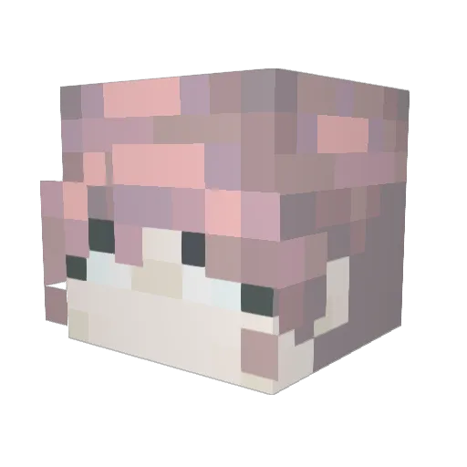 NETLOGIKI Minecraft avatar head, 3D render