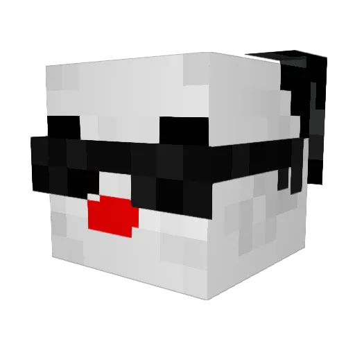 NETSTARR Minecraft avatar head, 3D render