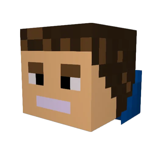 NET_PL Minecraft avatar head, 3D render