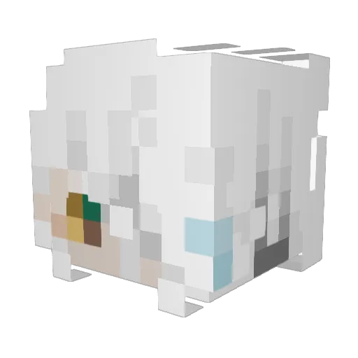 NEUROTICNAIIO Minecraft avatar head, 3D render