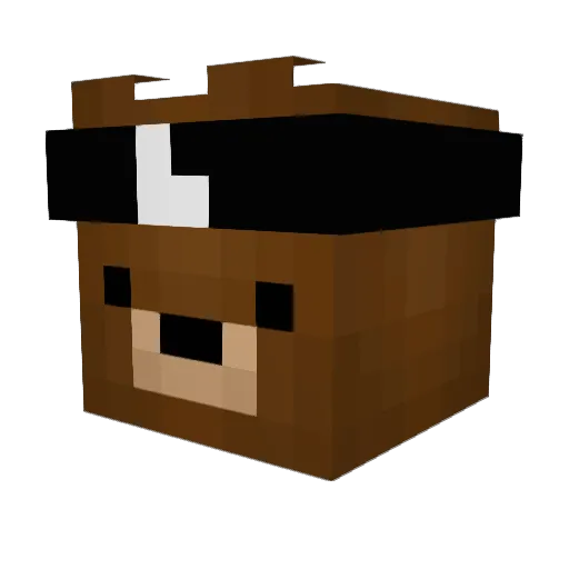 NEVlN Minecraft avatar head, 3D render