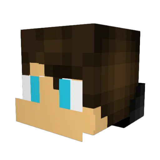 NEWCOLLEGE Minecraft avatar head, 3D render