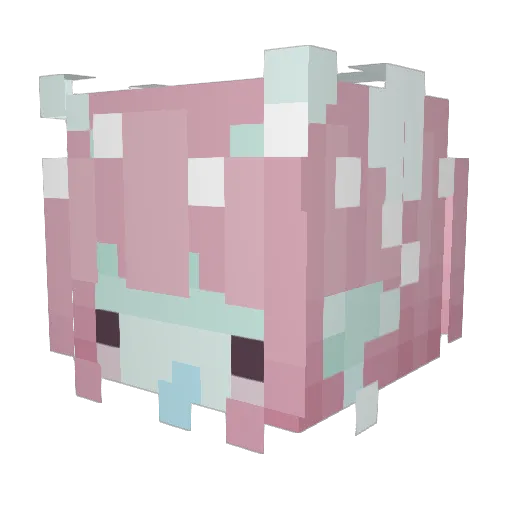 NEWTYNOOTY Minecraft avatar head, 3D render