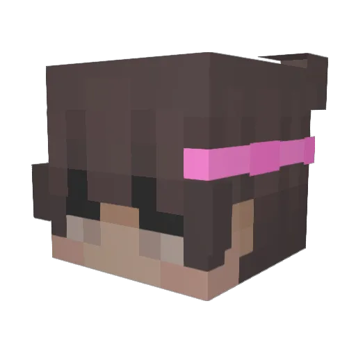 NEWYRNEWMETREY Minecraft avatar head, 3D render