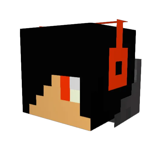 NEWworld52 Minecraft avatar head, 3D render
